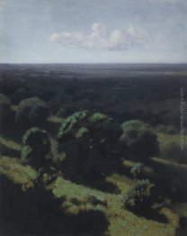 Distesa della foresta