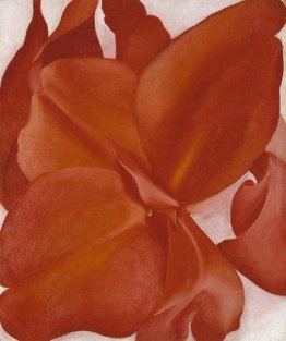Canne rosse