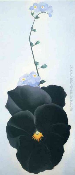 Viola del pensiero