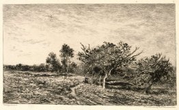 Alberi di mele a Auvers