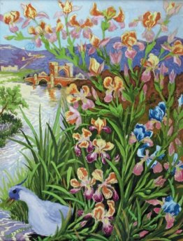 BLU TUFTED BIRD e iris barbuto