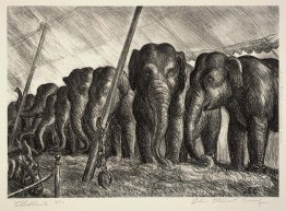 Circo Elefanti