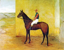 Jockey e cavallo
