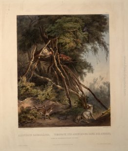 Tombe dei Assiniboin indiani sugli alberi, piatto 30 da volume 1