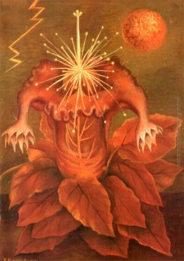 Fiore della Vita (Fiamma Fiore)
