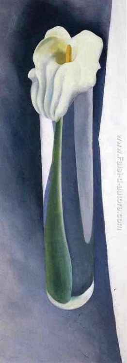 Calla Lily in Alto vetro