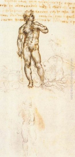 Studio del David di Michelangelo