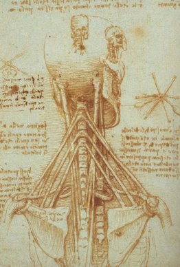 Anatomia del collo