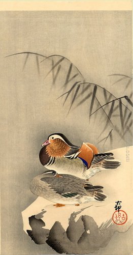 Mandarin Ducks in neve