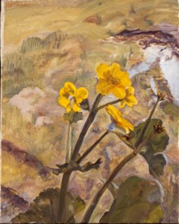 Kingcups Souvenir di Glen Artney