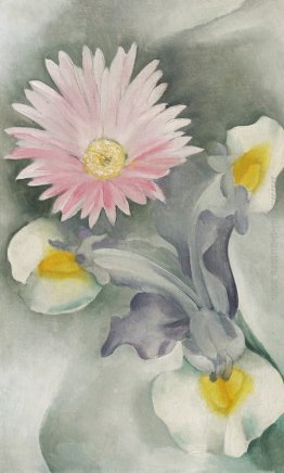 Rosa Daisy con Iris