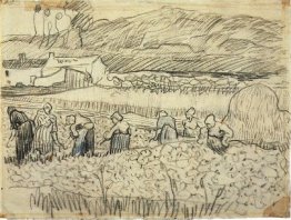 Le donne che lavorano in campo di grano