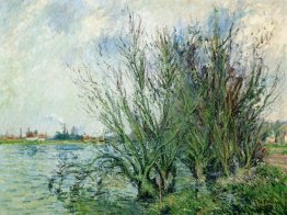 Willows, rive del fiume Oise