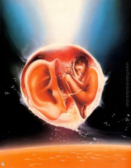 Foetus Metafisica