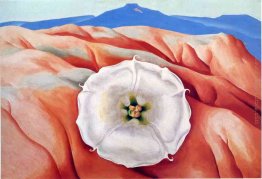 Colline rosse e fiore bianco II