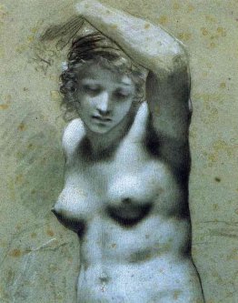 Busto di donna nudo