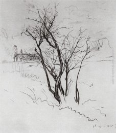 L'albero sul campo