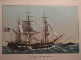 Americana Whaler