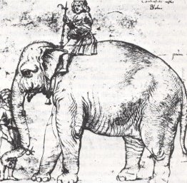 Hanno, del Papa Leone X Elephant