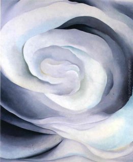 Astrazione White Rose