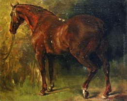 Il cavallo inglese di M. Duval