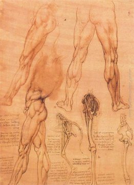 Studi di gambe dell'uomo e della gamba di un cavallo