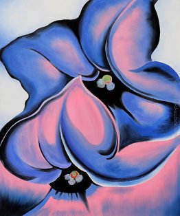 Viola Petunia