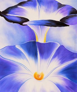 Blue Morning Glories