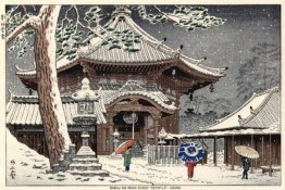 Neve a Nan-endo Temple, Nara