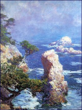 Mist Oltre Point Lobos