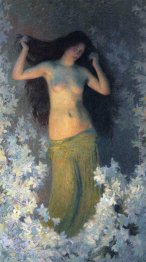 La bellezza