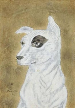 ?Cane bianco, cerchio scuro intorno a un occhio
