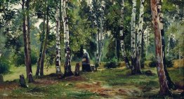 Birch Grove