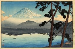 Fuji dal lago Shojin
