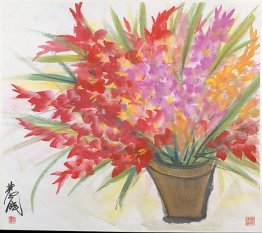 Gladioli