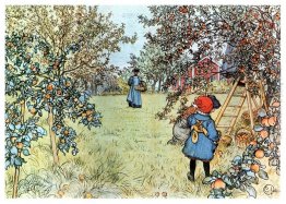 The Apple Harvest