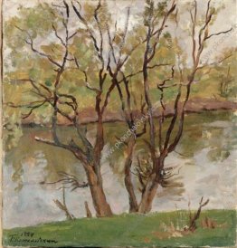 Willows sul fiume Protva