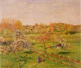 Mattina, fioritura alberi di mele, Eragny