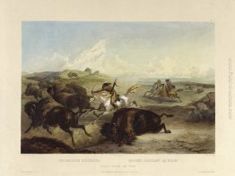 Indiani caccia al bisonte, piatto 31 da Volume 2 di 'Viaggio in