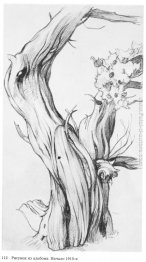 Disegno dall'album