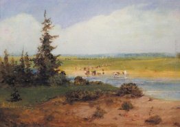 Summer Landscape