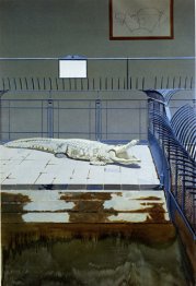 Crocodile et griglie