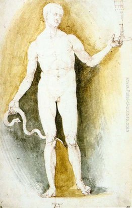 Nudo maschile con un bicchiere e Snake (Asclepio)