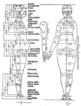 Gli studi sulle proporzioni del corpo femminile