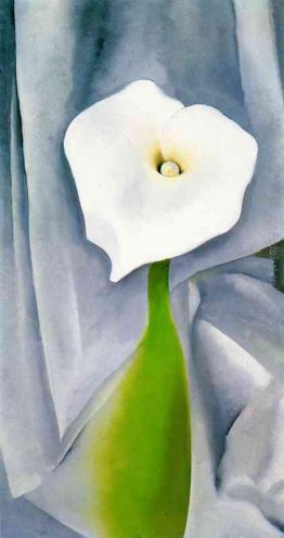 Calla Lily su Grey