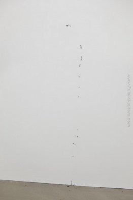 Umwelt