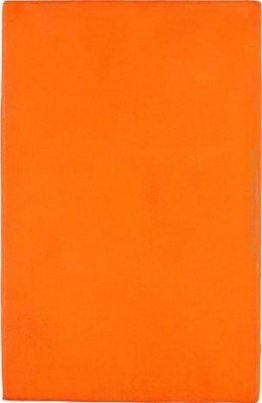 Untitled Arancione Monocromatico
