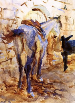 Sella di cavallo, la Palestina