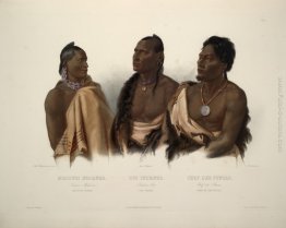 Un Missouri indiano, un Oto indiano e il capo della Puncas, piat