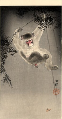 Scimmia Swinging da un ramo di bambù, osservando una mosca